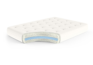 Gold Bond 6 inch Single Foam Futon Mattress